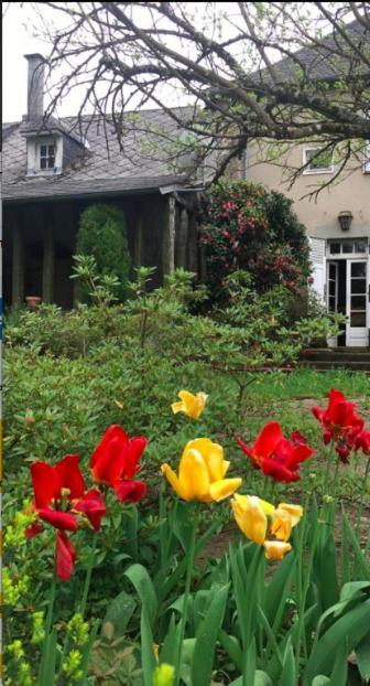 Maison Lyre, Pompadour Hotel Arnac-Pompadour Kültér fotó